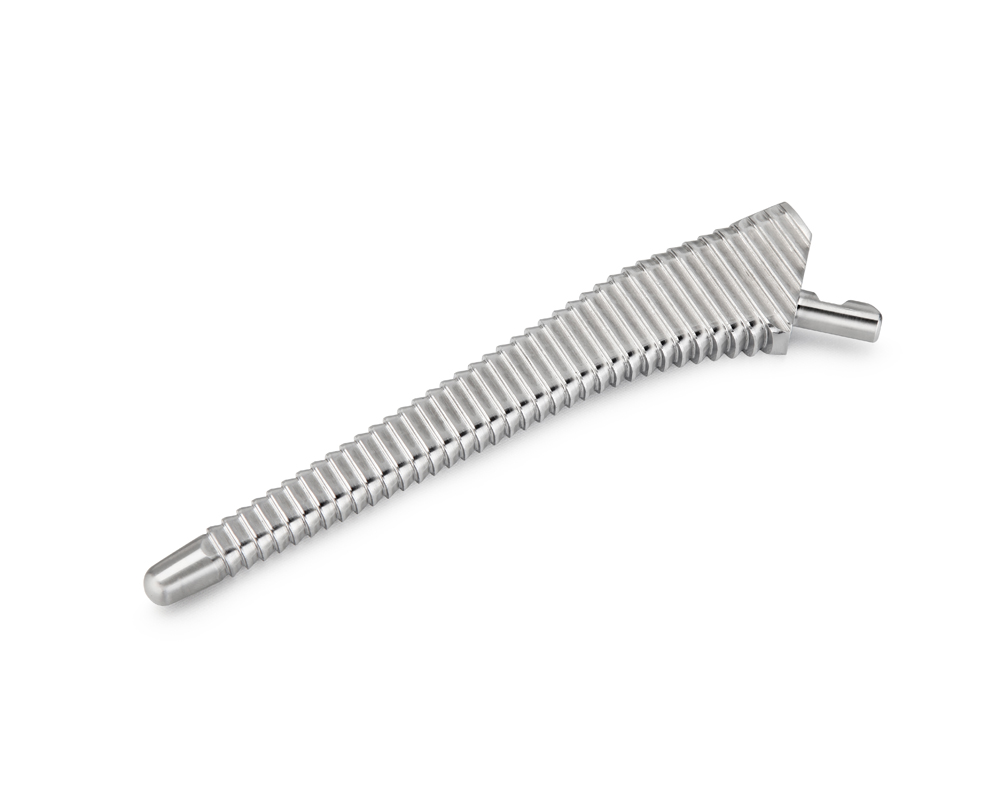 Rasp