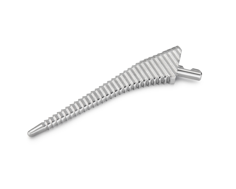Rasp